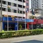 Tulip 3*